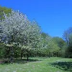 Panoramic App A05-2